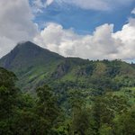 Photo taken by Dineia P