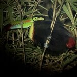 Photo taken by Steven C