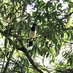 Photo taken by Deborah M