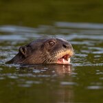 Photo taken by Matt W