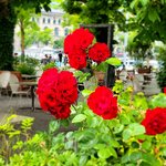 Photo taken by Daniella G