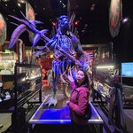 Photo taken by Thao T