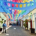 Photo taken by Pacita D