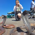 Photo taken by Katy T