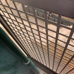 Photo taken by Dee C