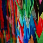 Photo taken by Caroline K