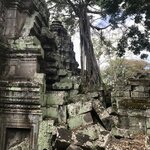 Photo taken by Kim C