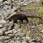 Photo taken by Donna G