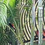 Photo taken by Kathy K