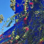 Photo taken by Laura S