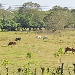 Photo taken by Mark S