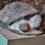 Photo taken by Cary W