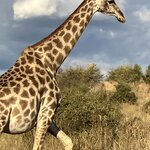 Photo taken by rhonda c