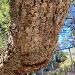 Photo taken by Michael M