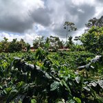 Photo taken by Bryan D