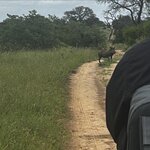 Photo taken by Michael Z