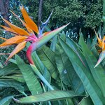 Photo taken by John L