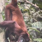 Photo taken by Shanthi V