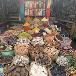 Photo taken by Indra S