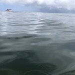 Photo taken by Anna L