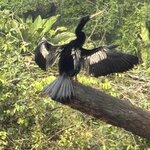 Photo taken by Trish G