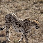 Photo taken by Gabrielle A