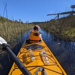 Photo taken by Dennis H