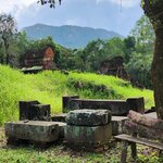 Photo taken by E.J. B