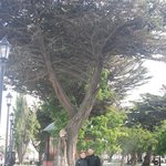 Photo taken by Douglas A