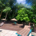 Photo taken by Camille S