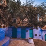 Photo taken by Kassie R