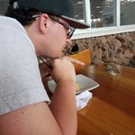 Galapagos finches will steal food right out of your mouth given the chance. | Photo taken by Peter S