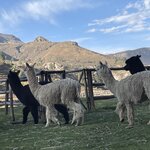 Photo taken by Grace J