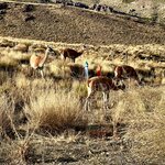 Photo taken by Sandra R