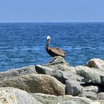 Photo taken by Peter F