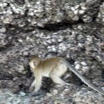 Photo taken by Sean M