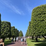 Photo taken by Queenie C