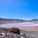 Photo taken by Flaminia R