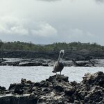 Photo taken by Gary W