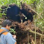 Photo taken by Bree J