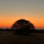 Photo taken by Janie W