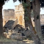 Photo taken by Michael E