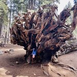 Photo taken by Amy W