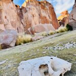 Photo taken by Collins M