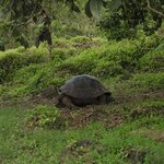 Photo taken by Vinay K