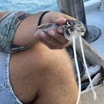 Photo taken by Susan & Bob M