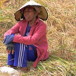 Photo taken by Laurence S