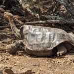 Photo taken by Jennifer A