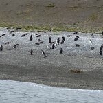 Photo taken by Mike C