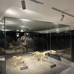 Photo taken by Spencer S